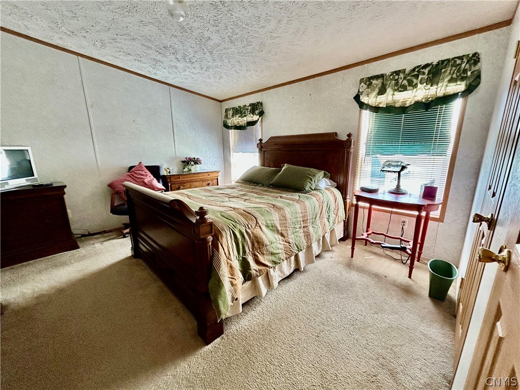 32877 State Rte Cape Cape Vincent, NY 13618 - Photo 31 of 42