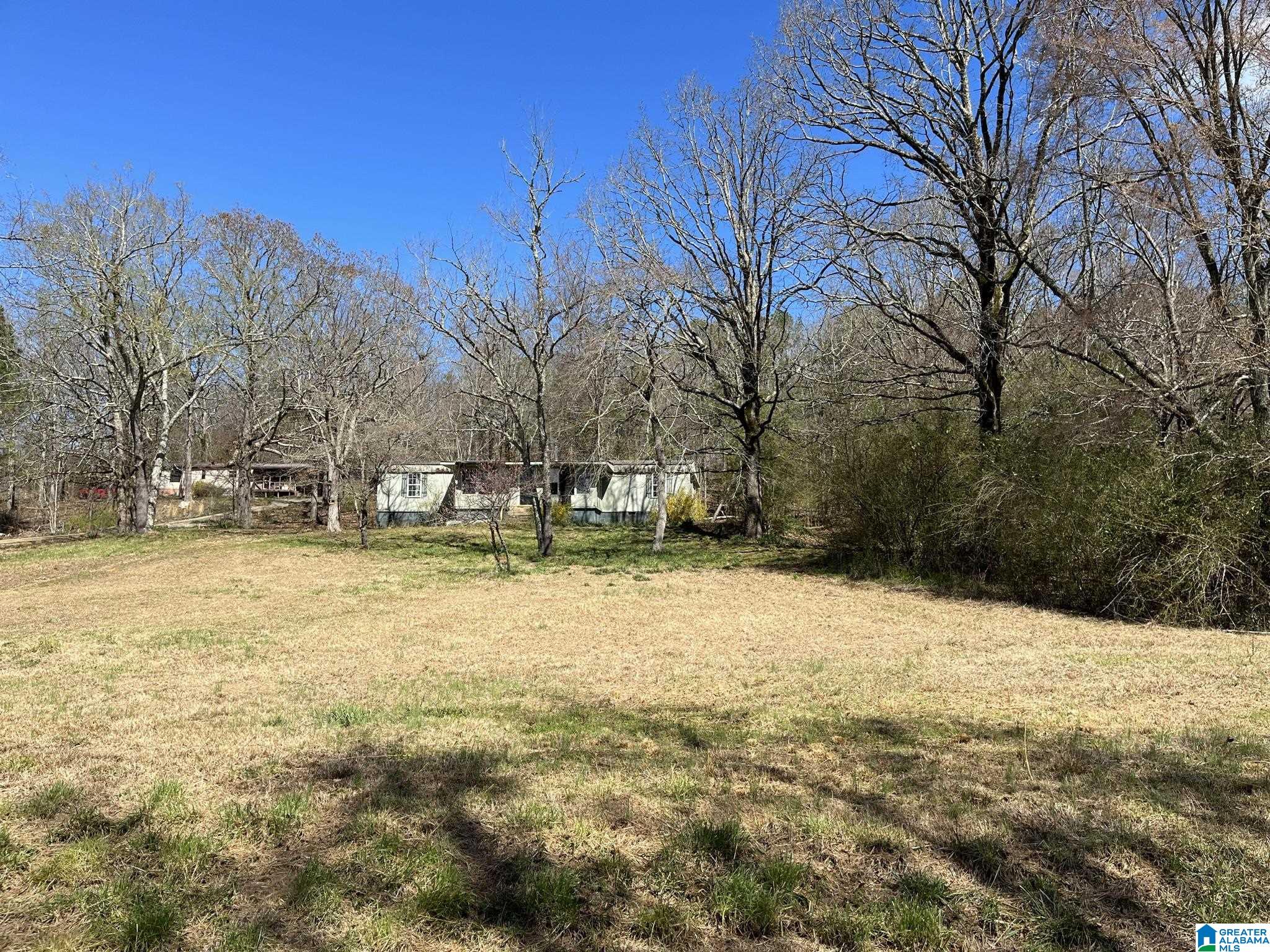 150 Wilson Mine Road, Unit 910 Piedmont, AL 36272 - Photo 4 of 36