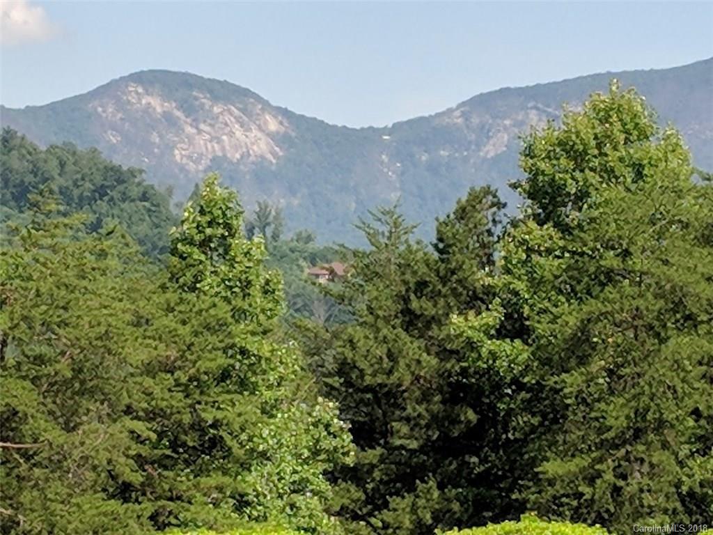 0 Old Crows Rd Lake, Unit 230 Lake Lure, NC 28746 - Photo 20 of 34