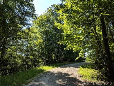 0 Old Crows Rd Lake, Unit 230 Lake Lure, NC 28746 - Photo 3 of 34