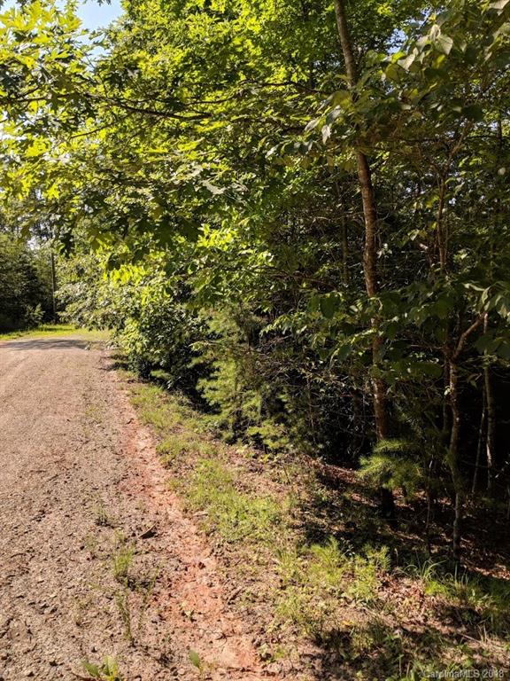 0 Old Crows Rd Lake, Unit 230 Lake Lure, NC 28746 - Photo 5 of 34