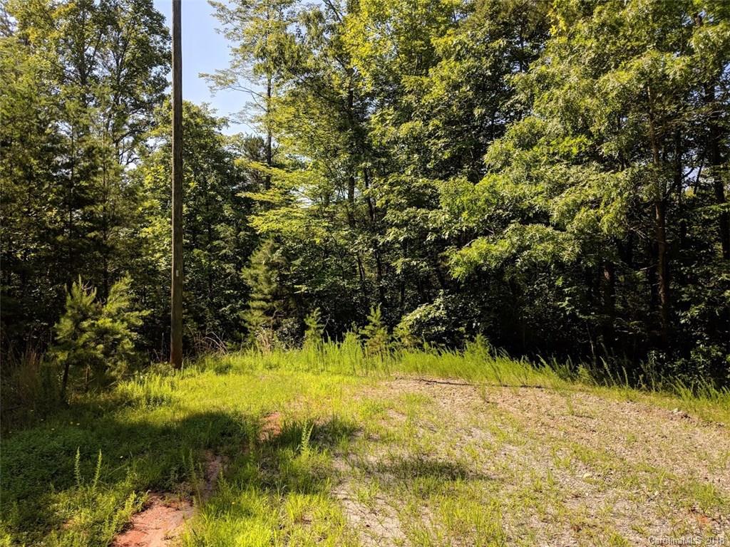 0 Old Crows Rd Lake, Unit 230 Lake Lure, NC 28746 - Photo 7 of 34