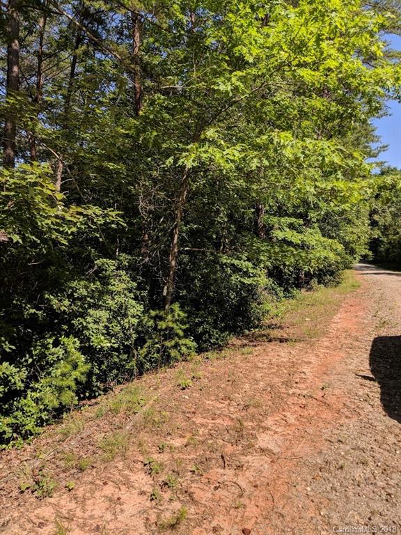 0 Old Crows Rd Lake, Unit 230 Lake Lure, NC 28746 - Photo 8 of 34