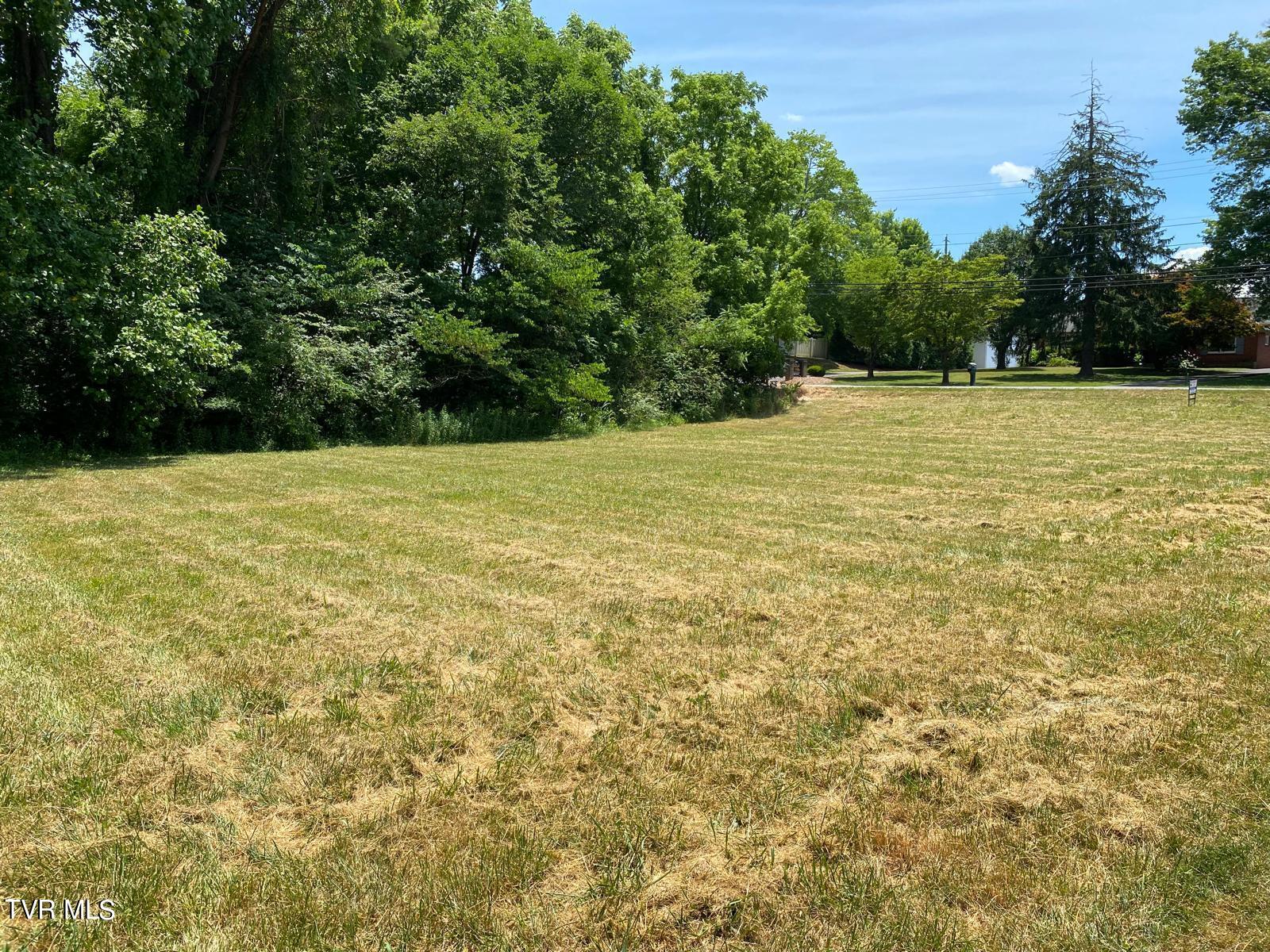 Tbd Abbott Drive, Unit 1 Johnson City, TN 37604 - Photo 3 of 5 WhatsApp Image 2024-06-26 at 2.10.51 PM