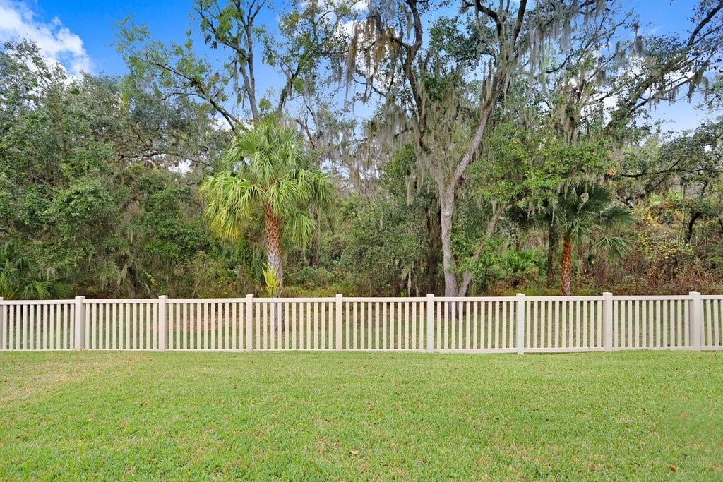 11415 Coventry Grove Circle Lithia, FL 33547 - Photo 34 of 49