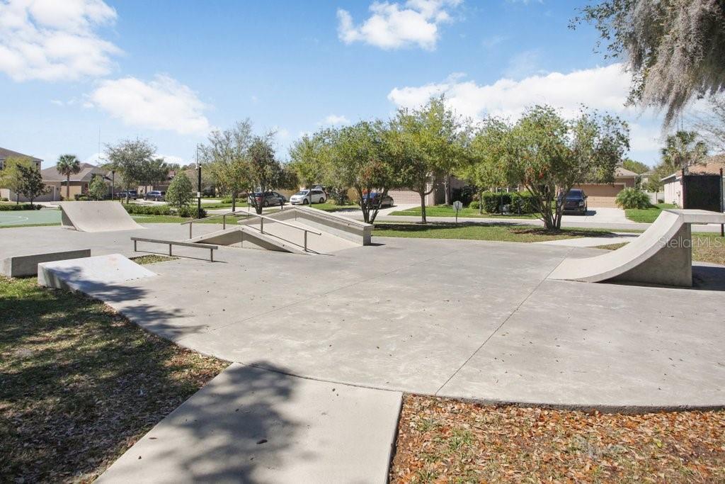 11415 Coventry Grove Circle Lithia, FL 33547 - Photo 43 of 49