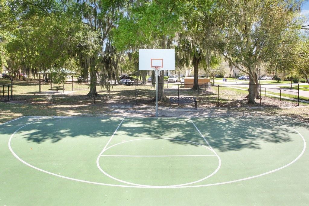 11415 Coventry Grove Circle Lithia, FL 33547 - Photo 45 of 49