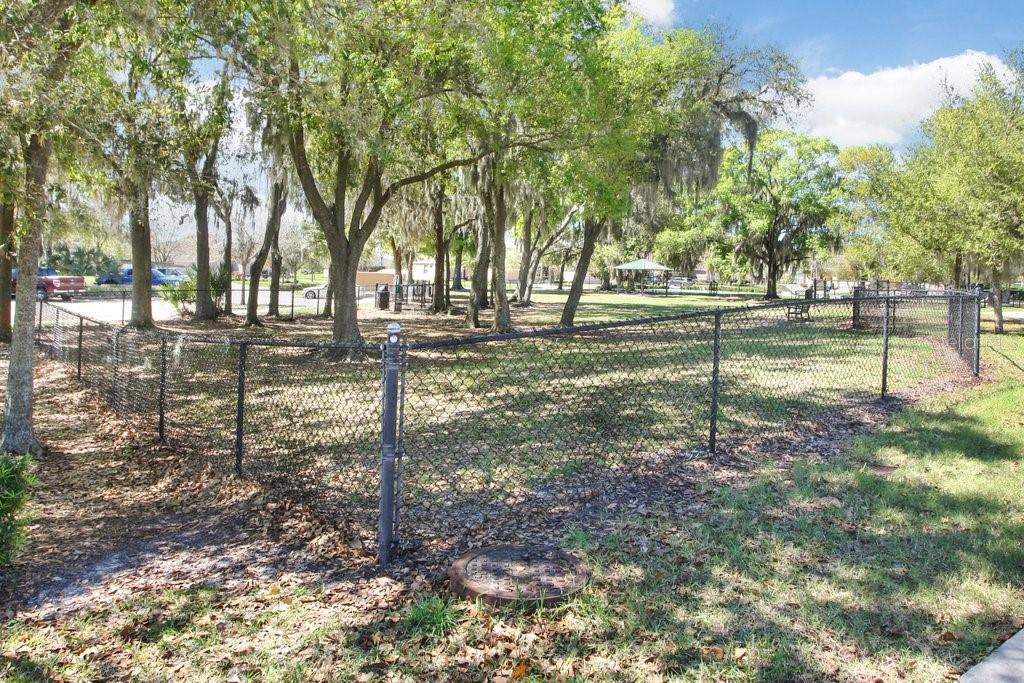 11415 Coventry Grove Circle Lithia, FL 33547 - Photo 48 of 49