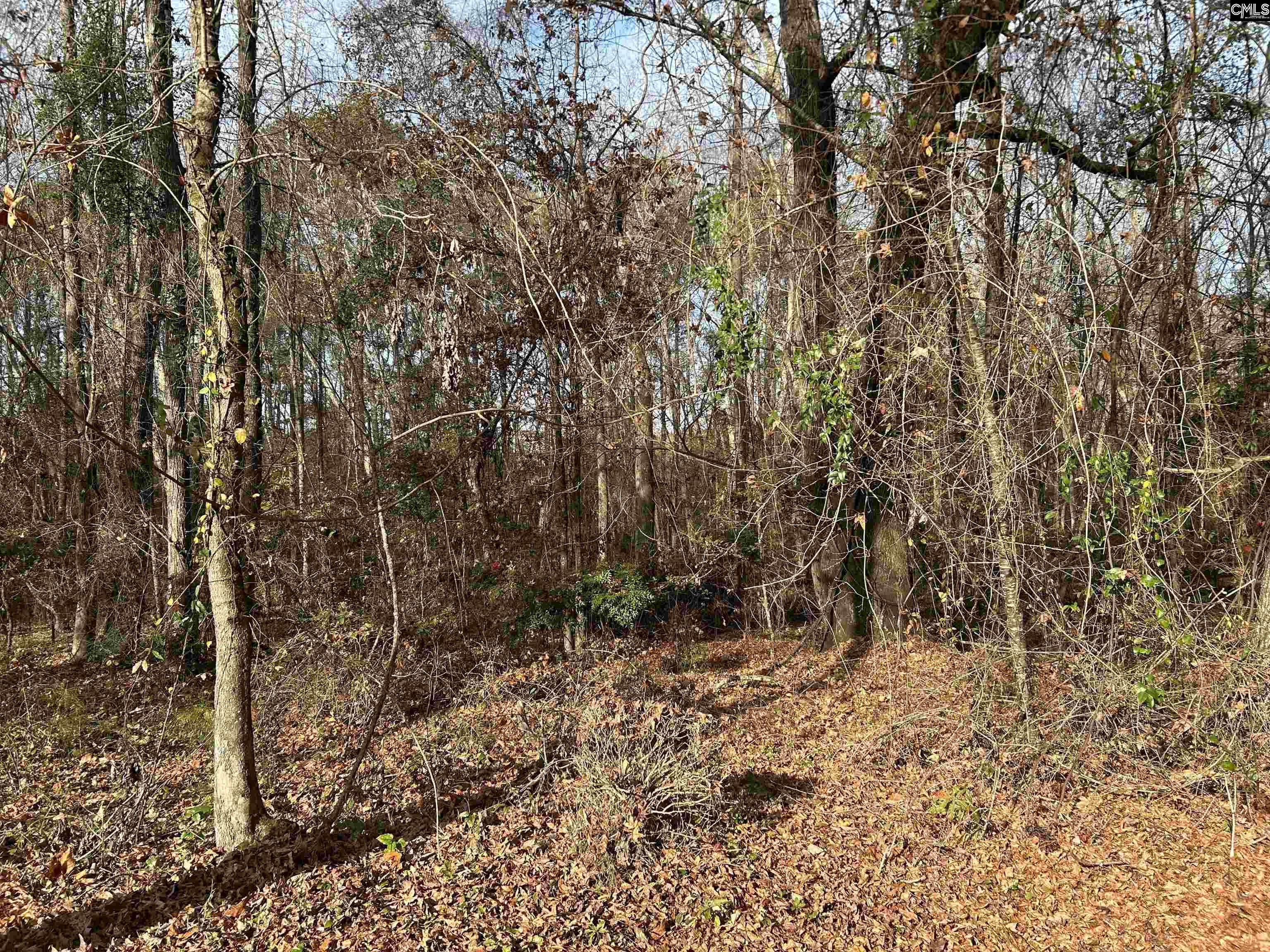 440 Paschal Road Elgin, SC 29045 - Photo 21 of 23