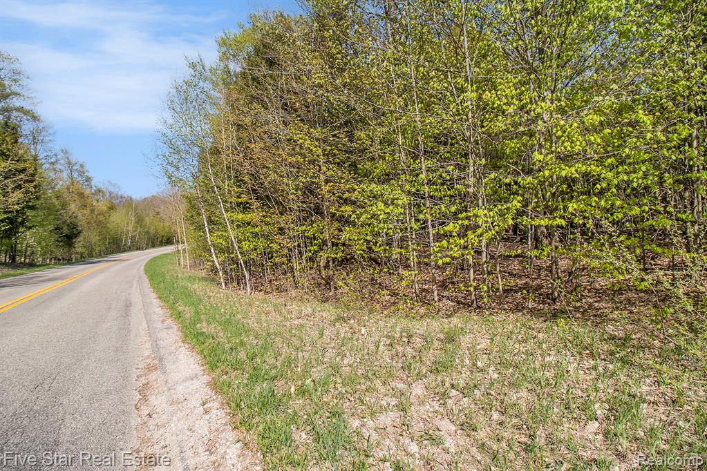 0 Smith Road Onekama, MI 49675 - Photo 11 of 23