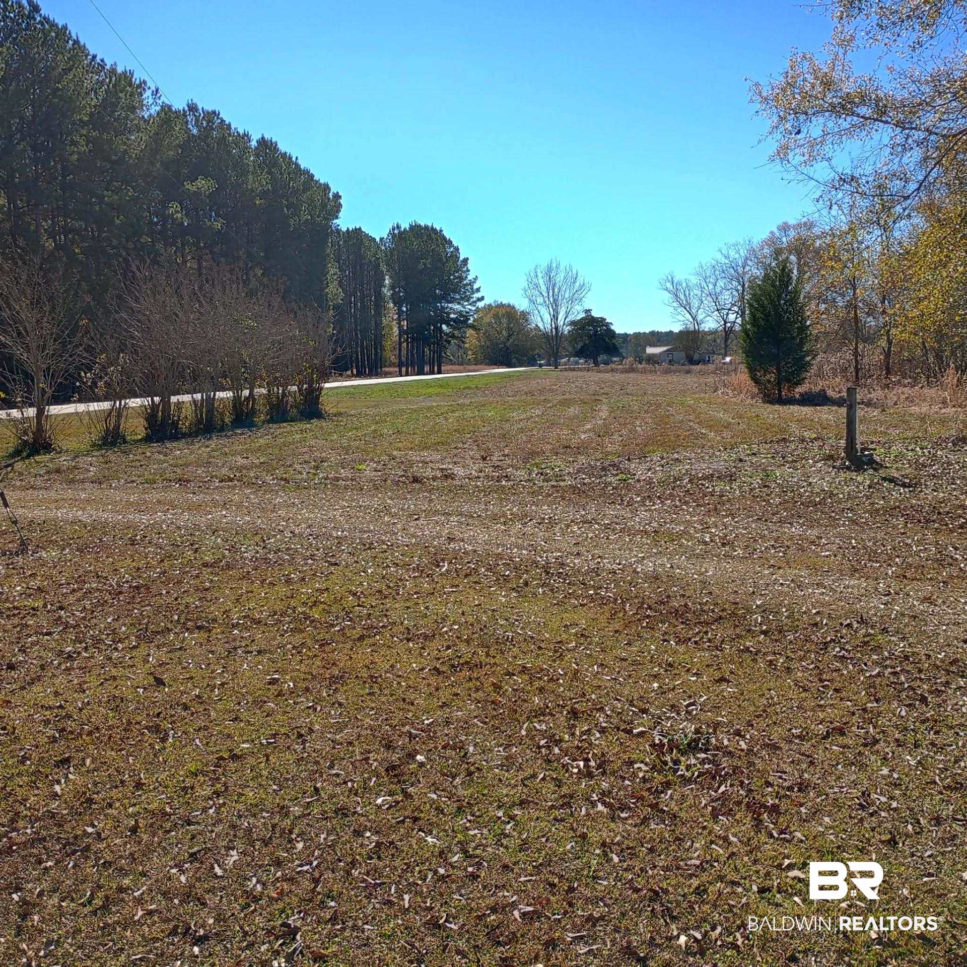 9841 Wesley Chapel Road Georgiana, AL 36033 - Photo 5 of 22