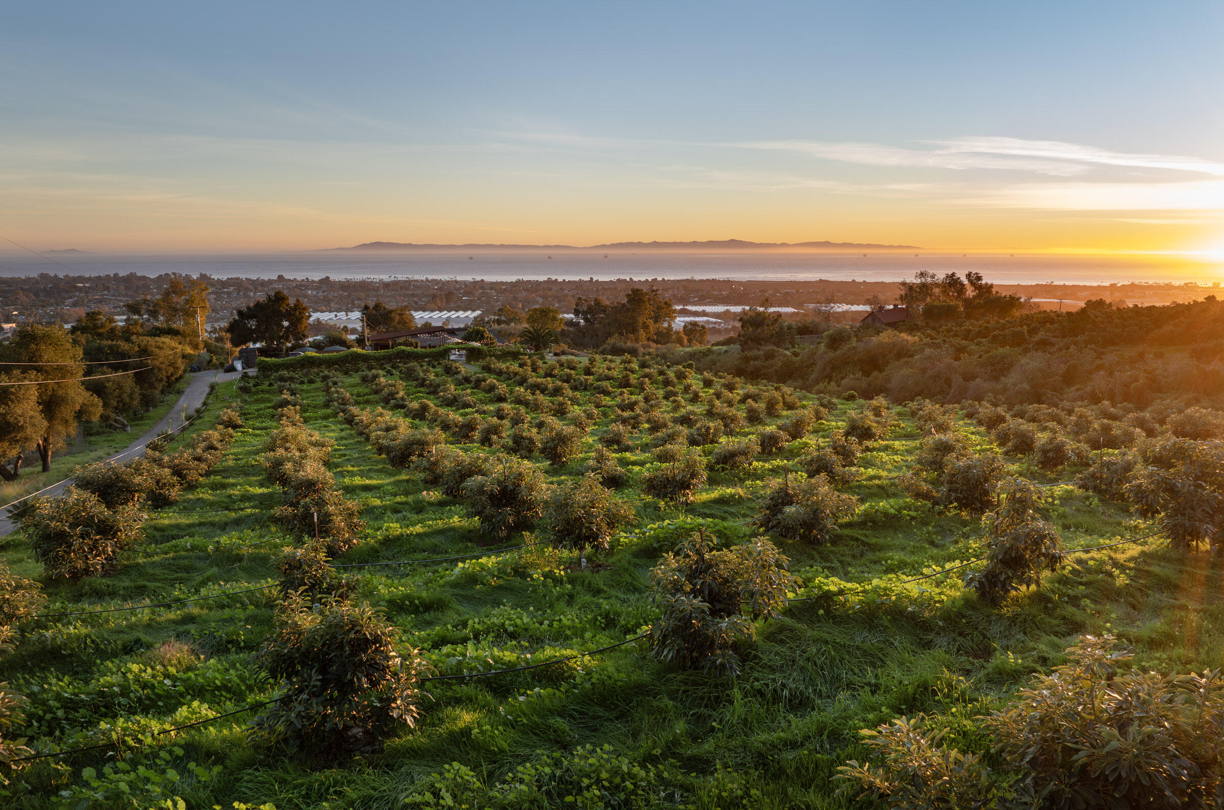 4488 Foothill Road Carpinteria, CA 93013 - Photo 2 of 22 Coastal Ranch Retreat