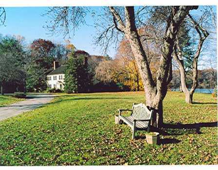 a view of a garden with a bench