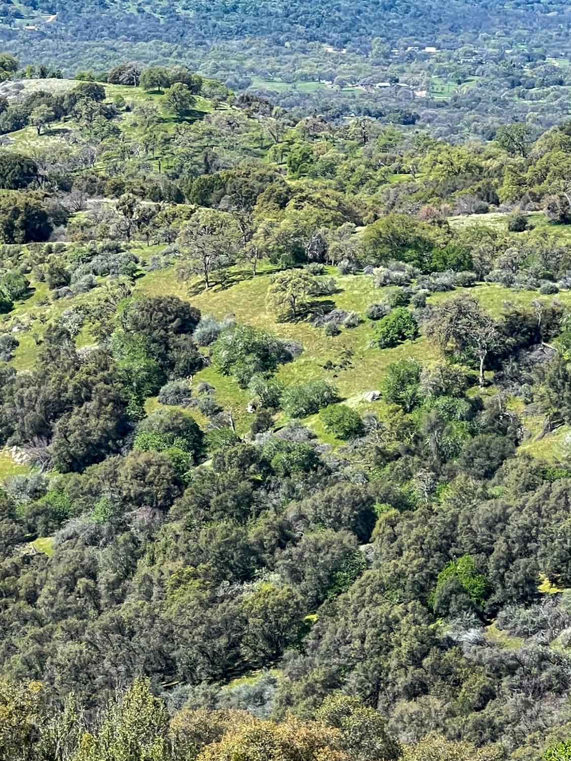 44981 Todd Eymann Road Dunlap, CA 93621 - Photo 62 of 74 Gallery Image 62