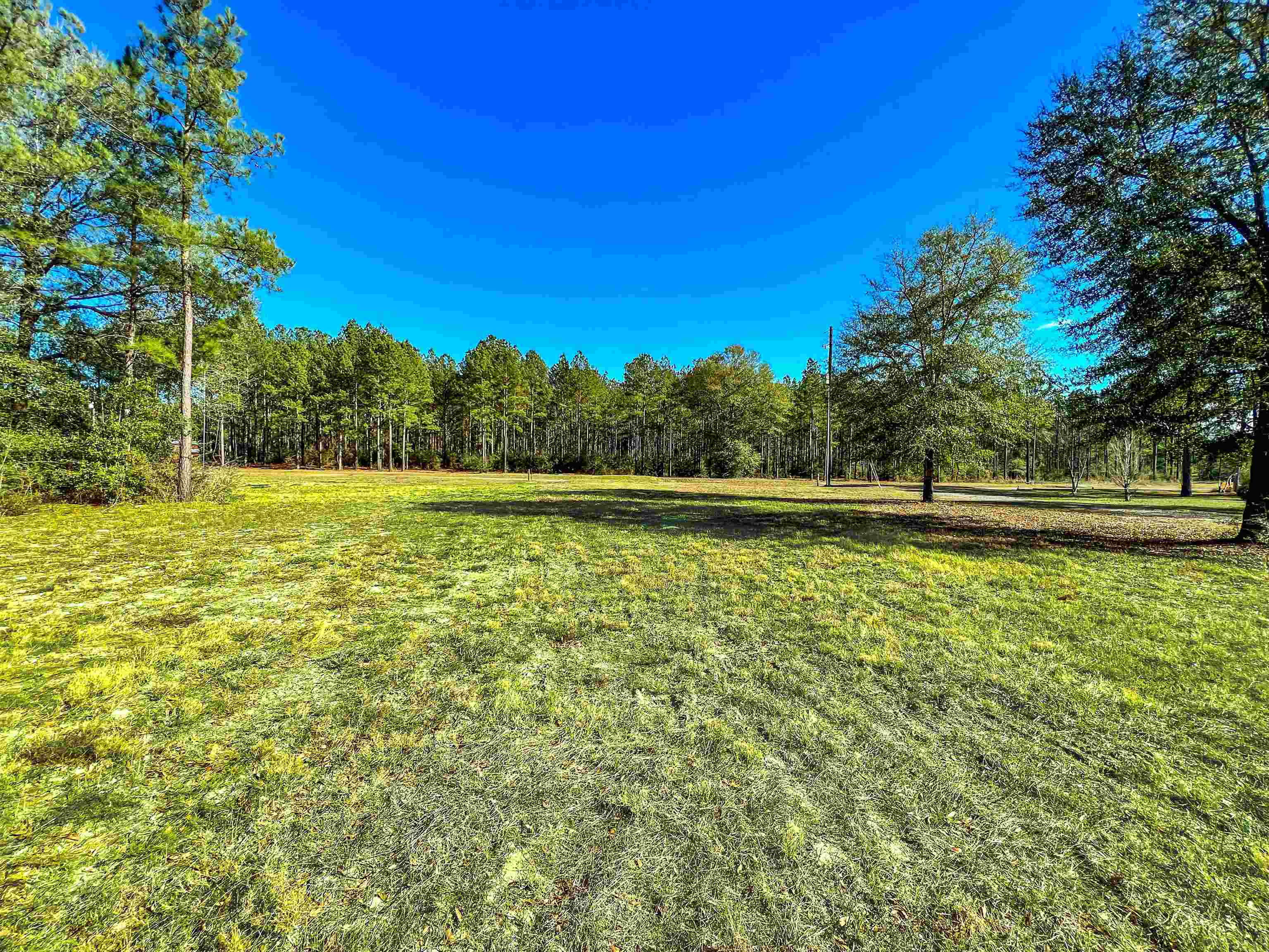 59 Harbor Road Andalusia, AL 36421 - Photo 2 of 6 Gallery Image 2