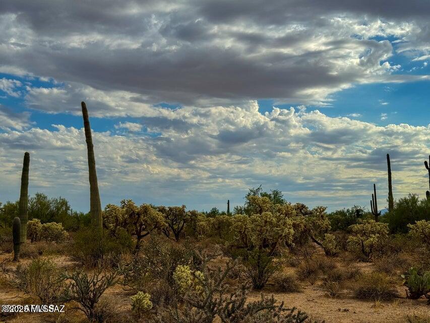 0 North Hohokam Road Florence, AZ 85132 - Photo 11 of 24 Gallery Image 11