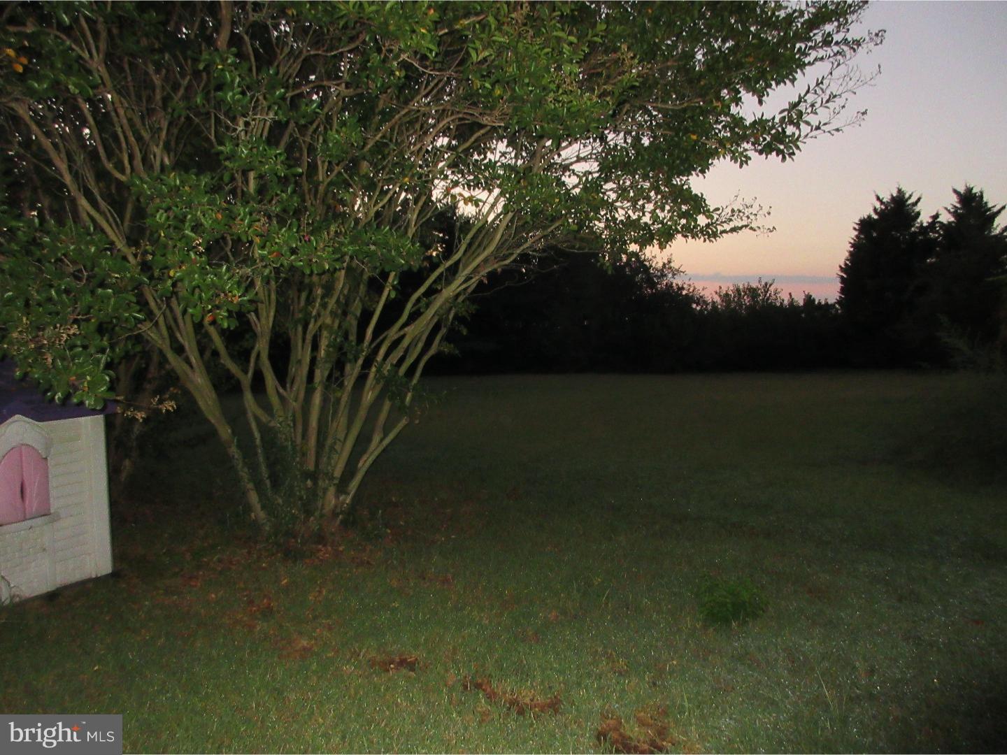 873 Skeeter Neck Road Frederica, DE 19946 - Photo 4 of 21 Back Yard