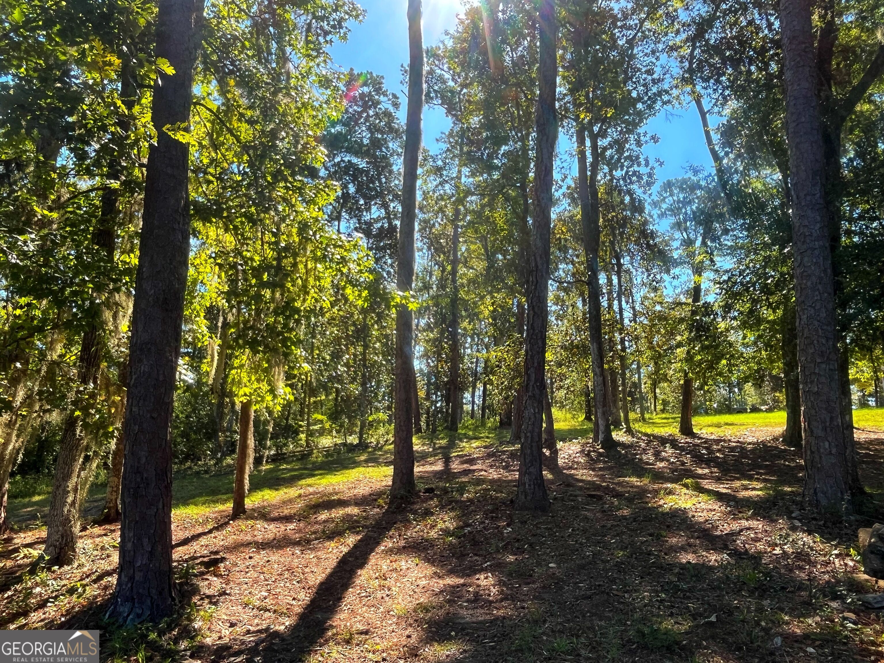 490 Murray Road Bainbridge, GA 39819 - Photo 27 of 67 Gallery Image 27