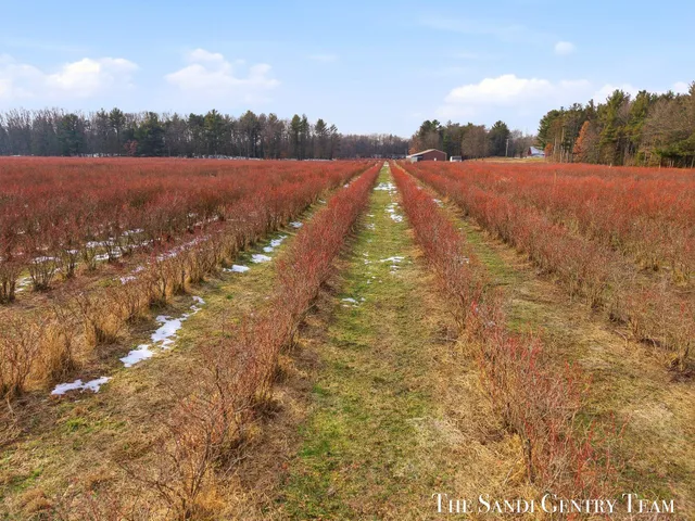 $1,118,200 | 15854 Buchanan Street, Grand Haven, MI 49417