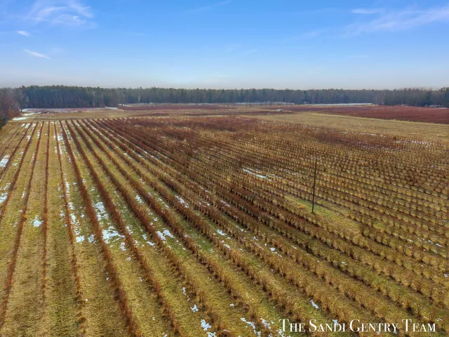 $1,118,200 | 15854 Buchanan Street, Grand Haven, MI 49417