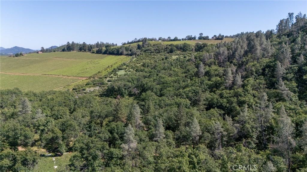 13520 Point Lakeview Road Lower Lake, CA 95457 - Photo 15 of 31