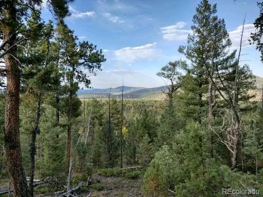 $595,000 | 28410 Evergreen Drive, Conifer, CO 80433