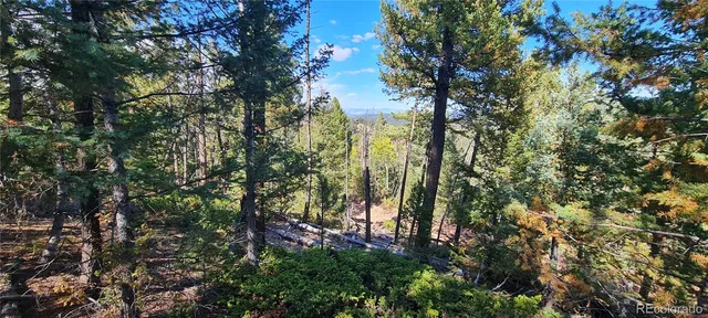 $595,000 | 28410 Evergreen Drive, Conifer, CO 80433
