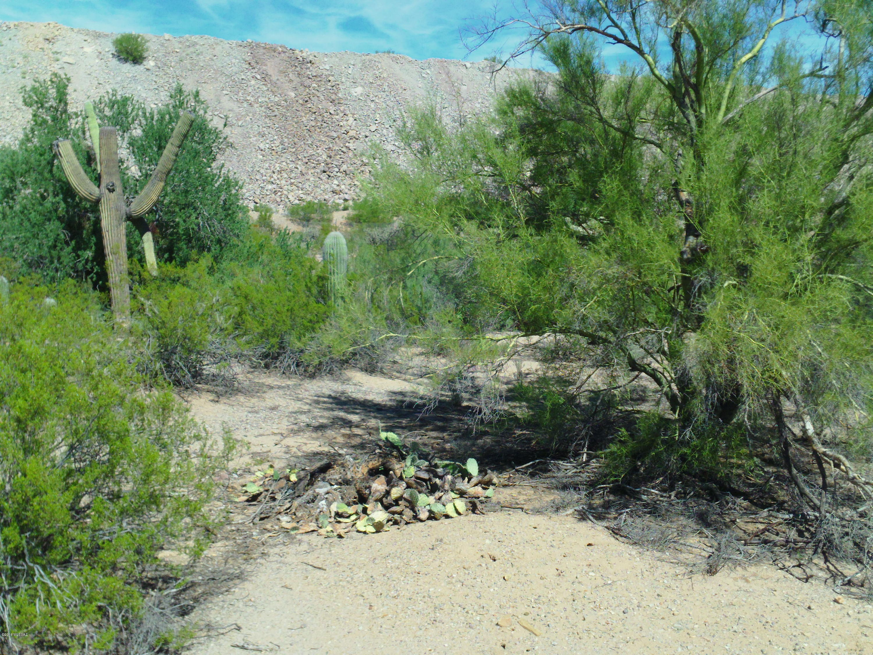 Massingale (roxy Rd) Road Tucson, AZ 85743 - Photo 3 of 11