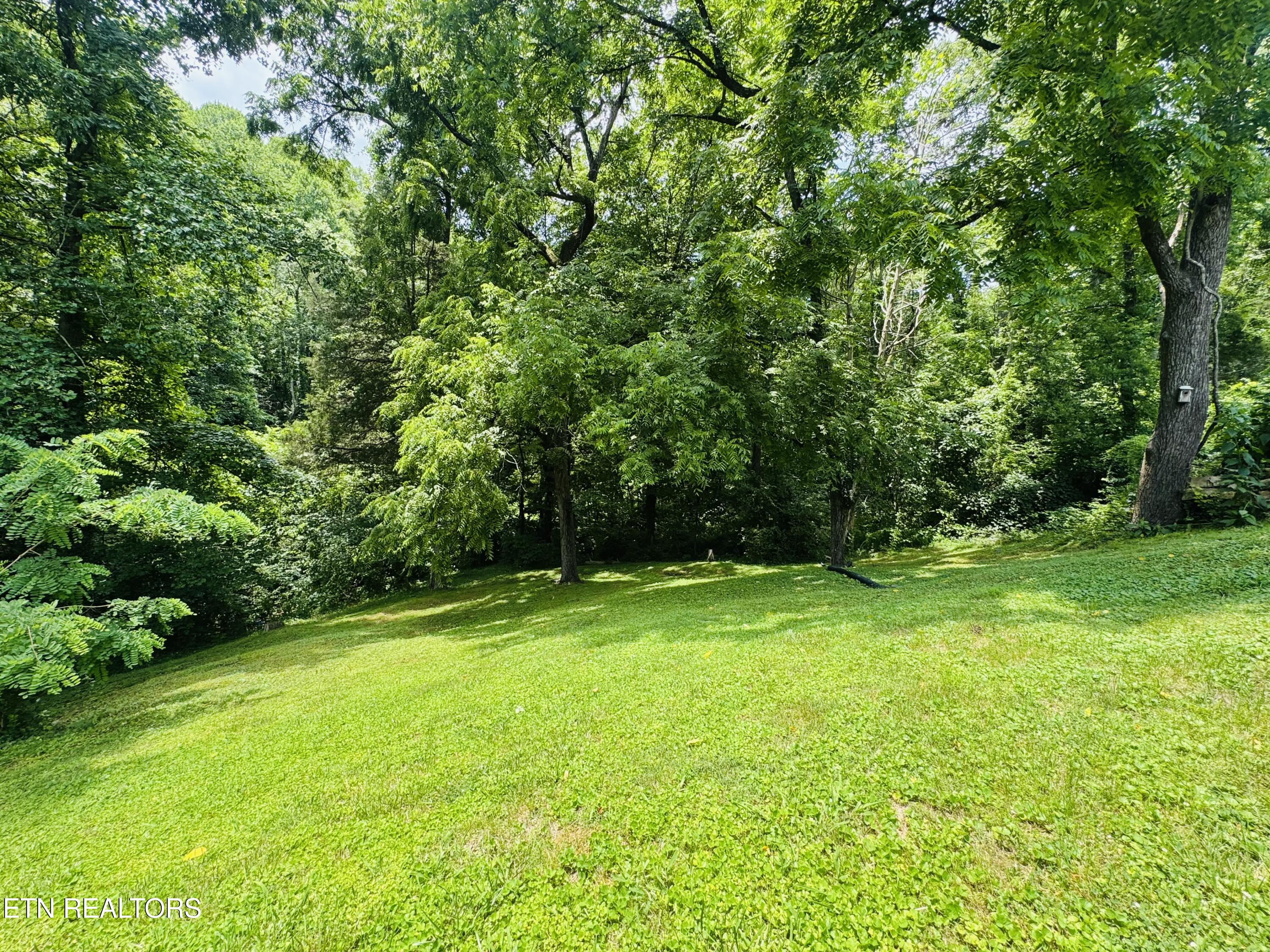 681 Island Cove Road Rocky Top, TN 37769 - Photo 32 of 47 IMG_5626