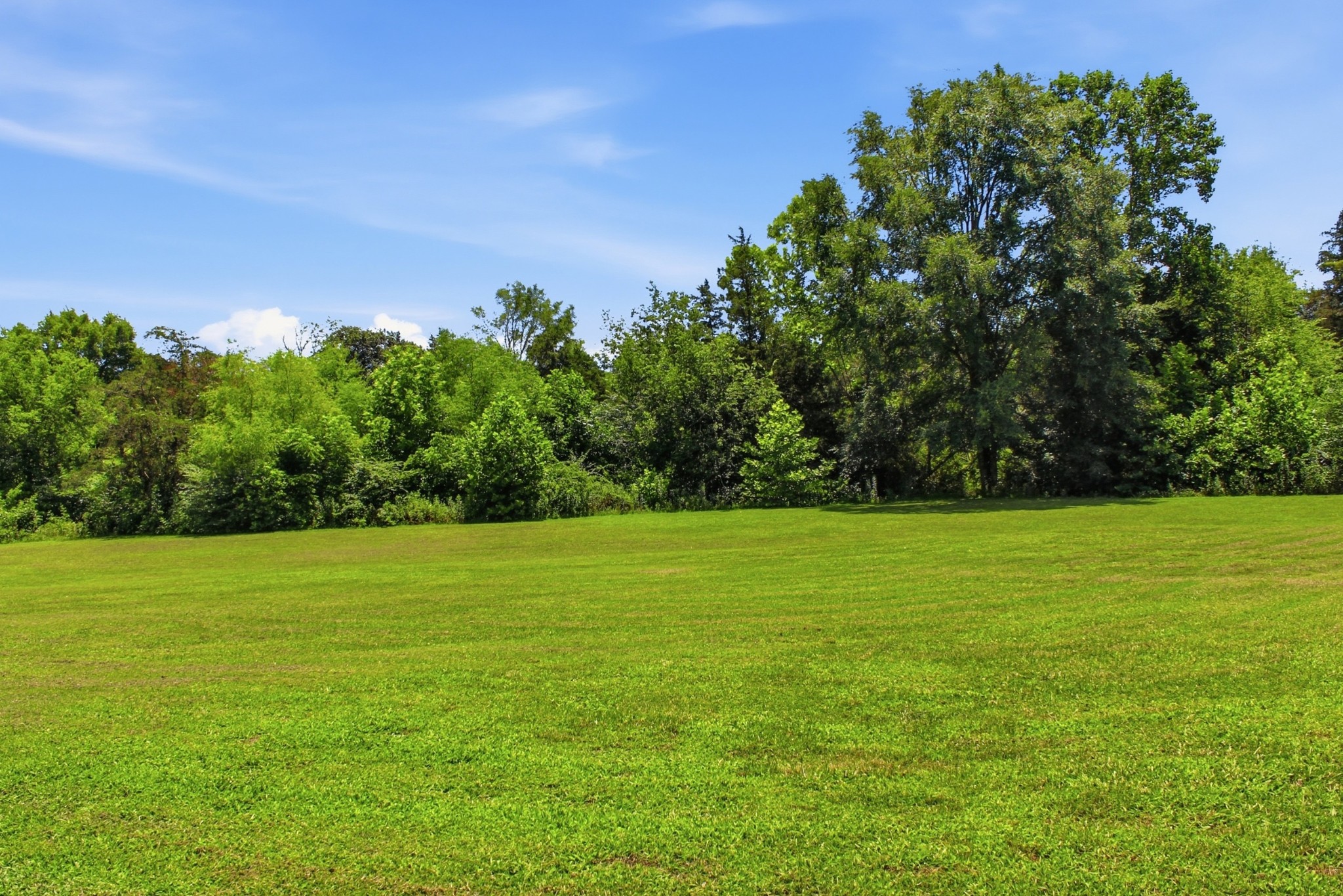 3300 Doyle Frazier Road Morrison, TN 37357 - Photo 37 of 47