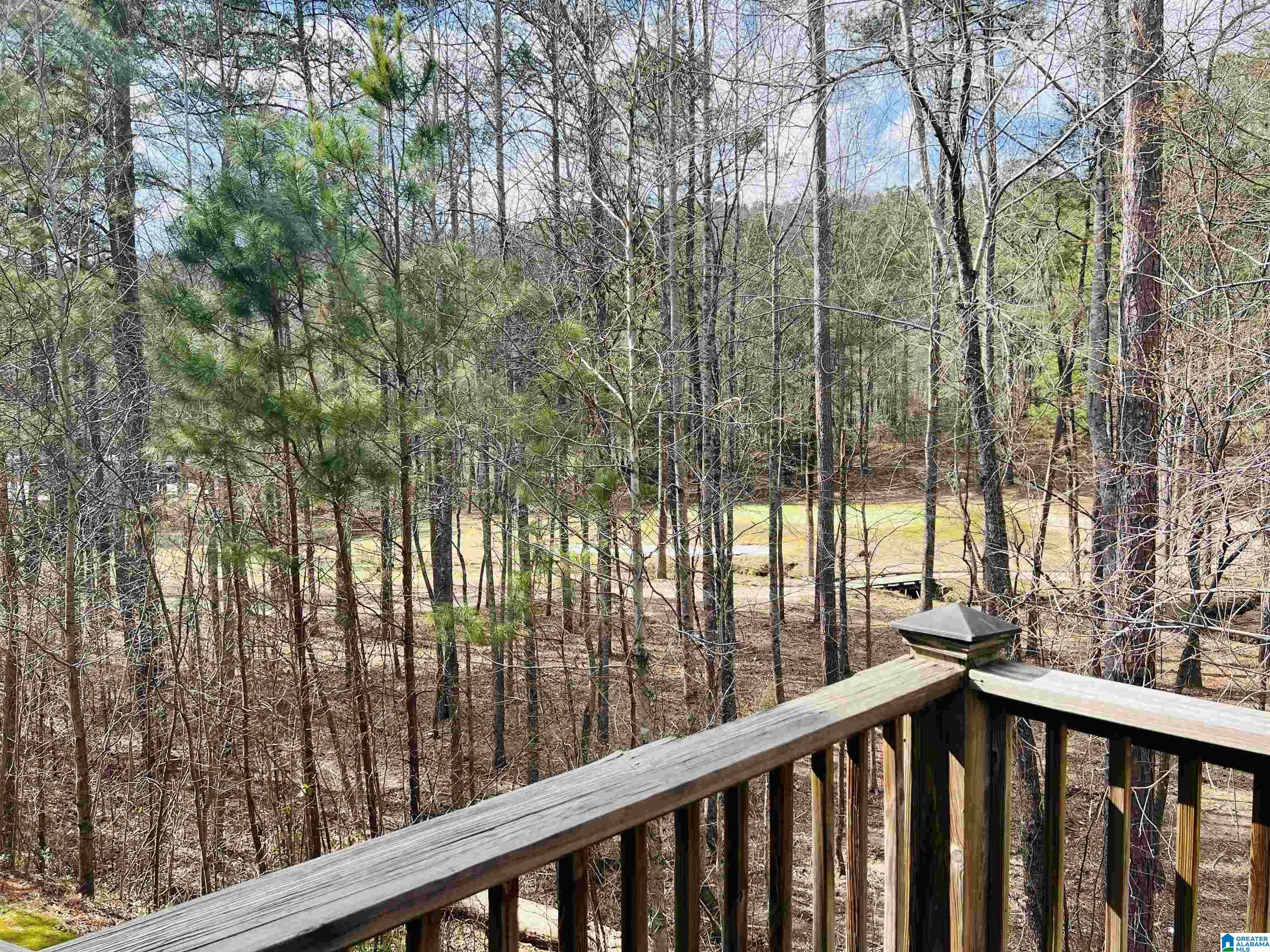 127 Broadmoor Loop Oneonta, AL 35121 - Photo 4 of 39