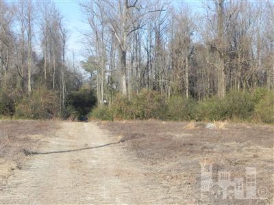 5 Lyman Road Salemburg, NC 28385 - Photo 2 of 2 Additional Photo