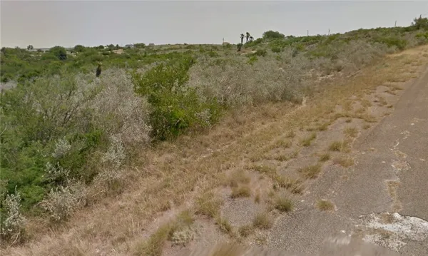 $19,999 | Lot 13 Blueridge Drive, Sandia, TX 78383