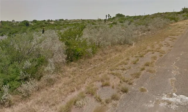 $25,000 | Lot 13 Blueridge Drive, Sandia, TX 78383