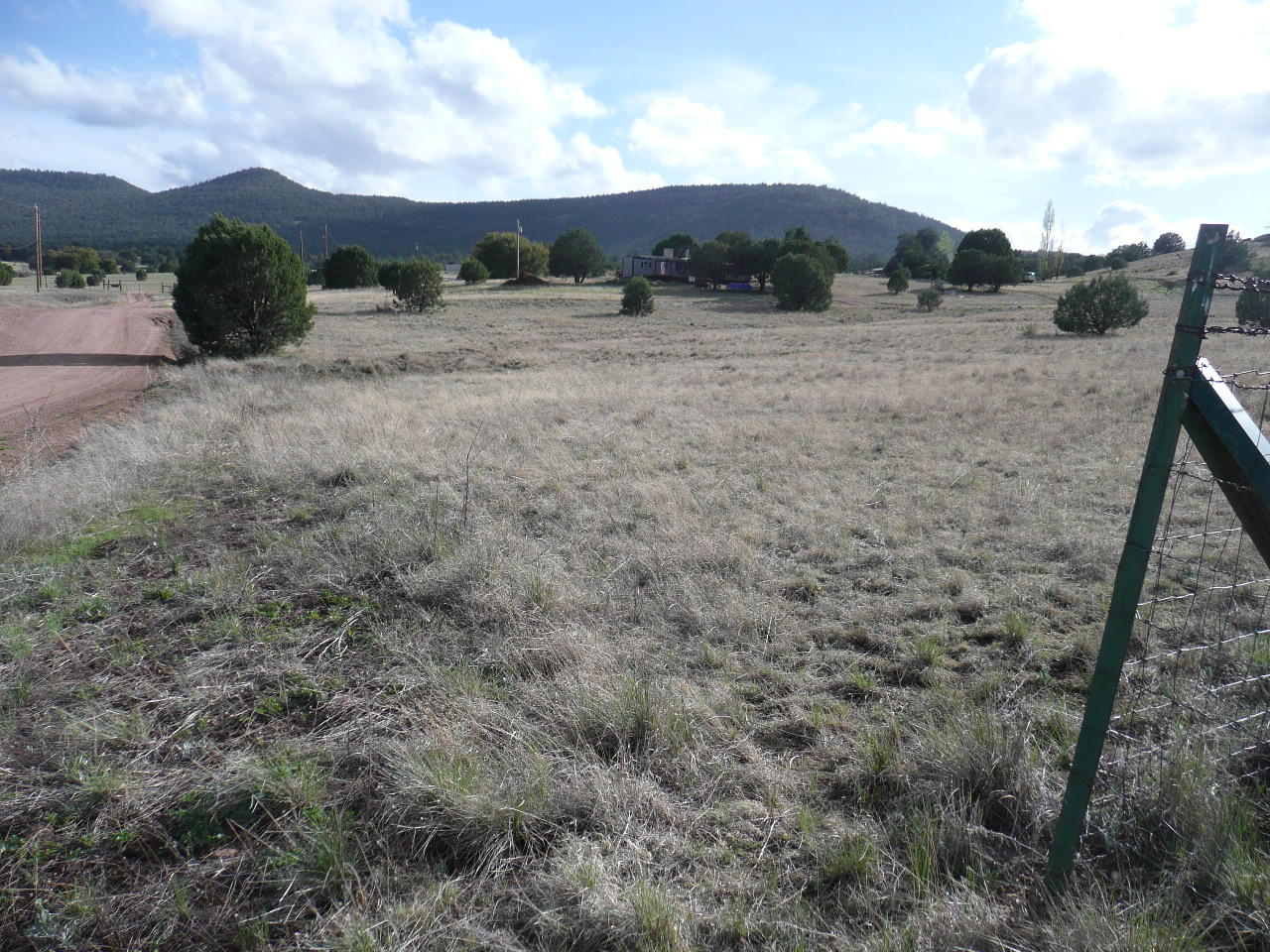 478 Rolling Hills Road Young, AZ 85554 - Photo 5 of 20