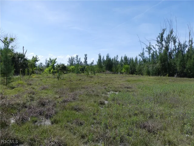 a view of a field with trees in background