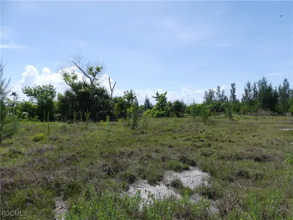 a view of a field of grass and trees