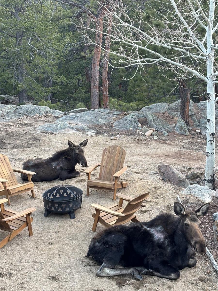 31911 Warrens Road Golden, CO 80403 - Photo 29 of 42 a view of a backyard of the house