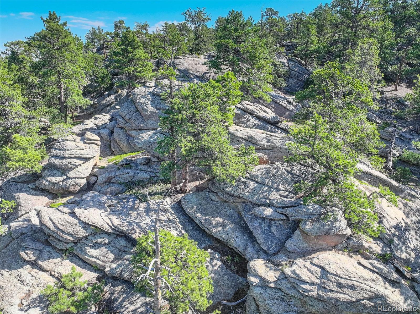 31911 Warrens Road Golden, CO 80403 - Photo 36 of 42 a view of a garden with plants