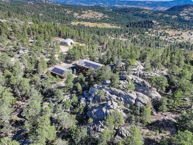 a view of a forest with a forest