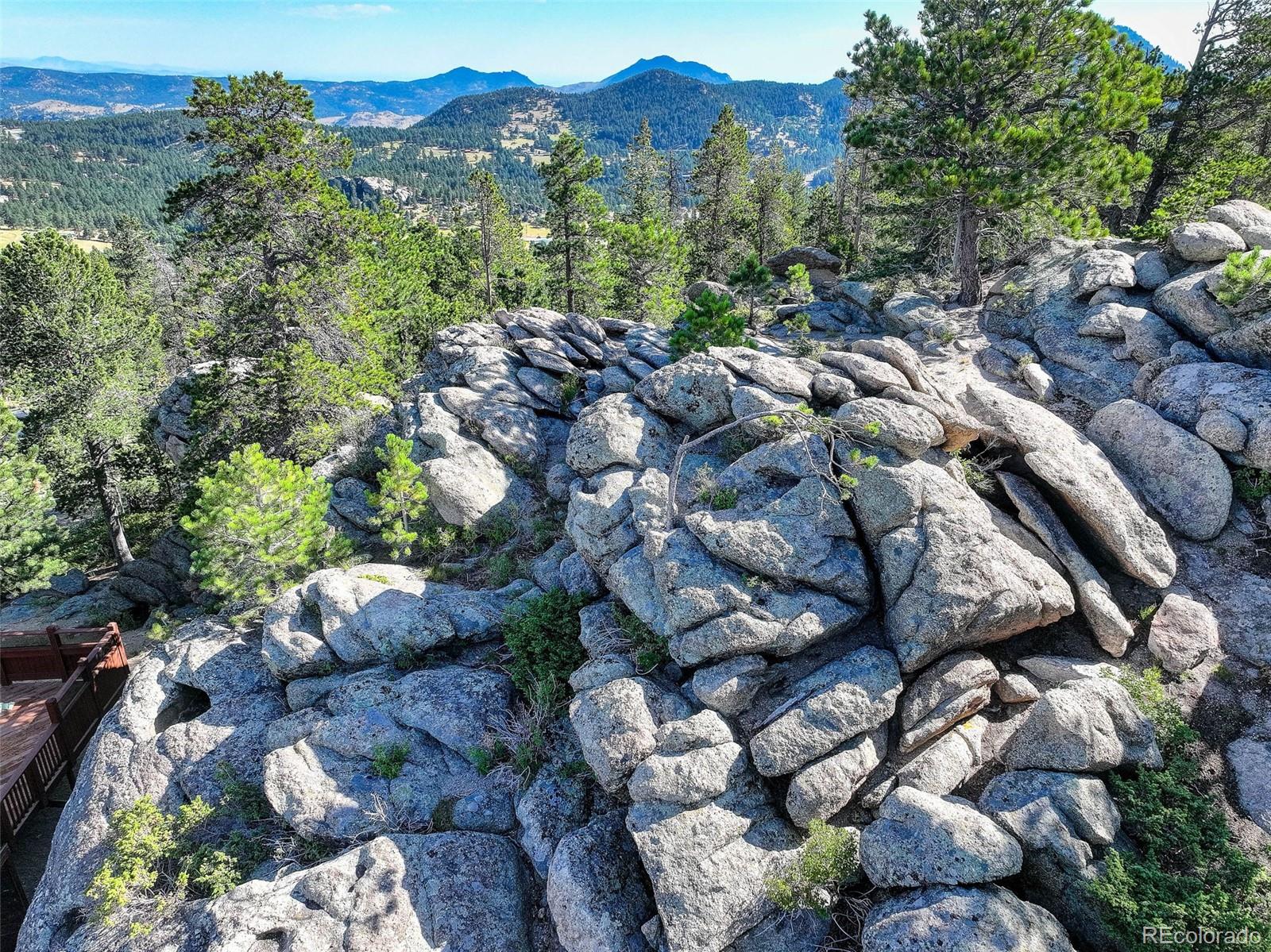 31911 Warrens Road Golden, CO 80403 - Photo 38 of 42 a view of a forest with a forest
