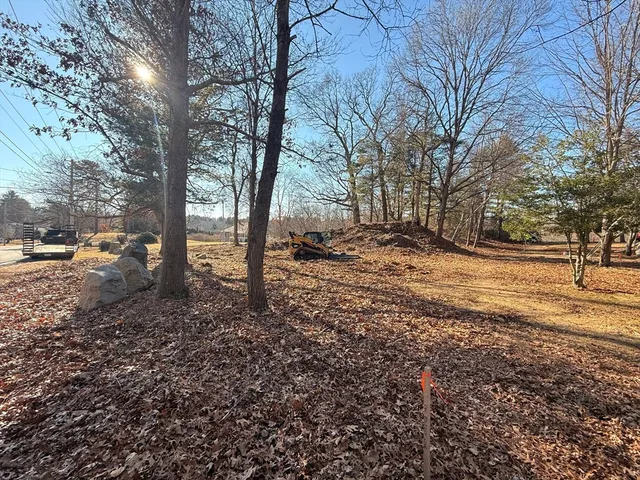 a view of a yard with trees