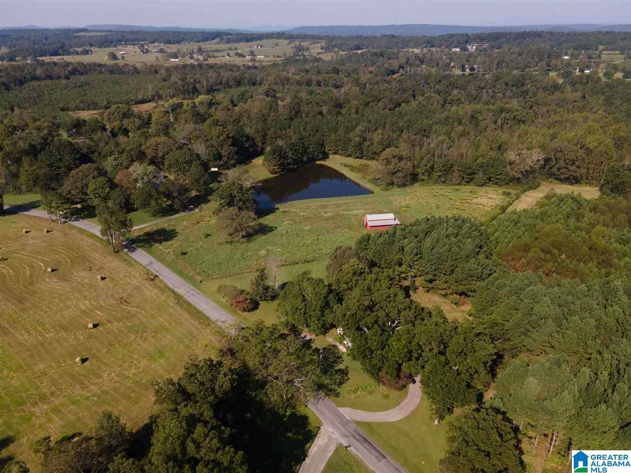 1697 Robin Hill Road Oneonta, AL 35121 - Photo 47 of 50