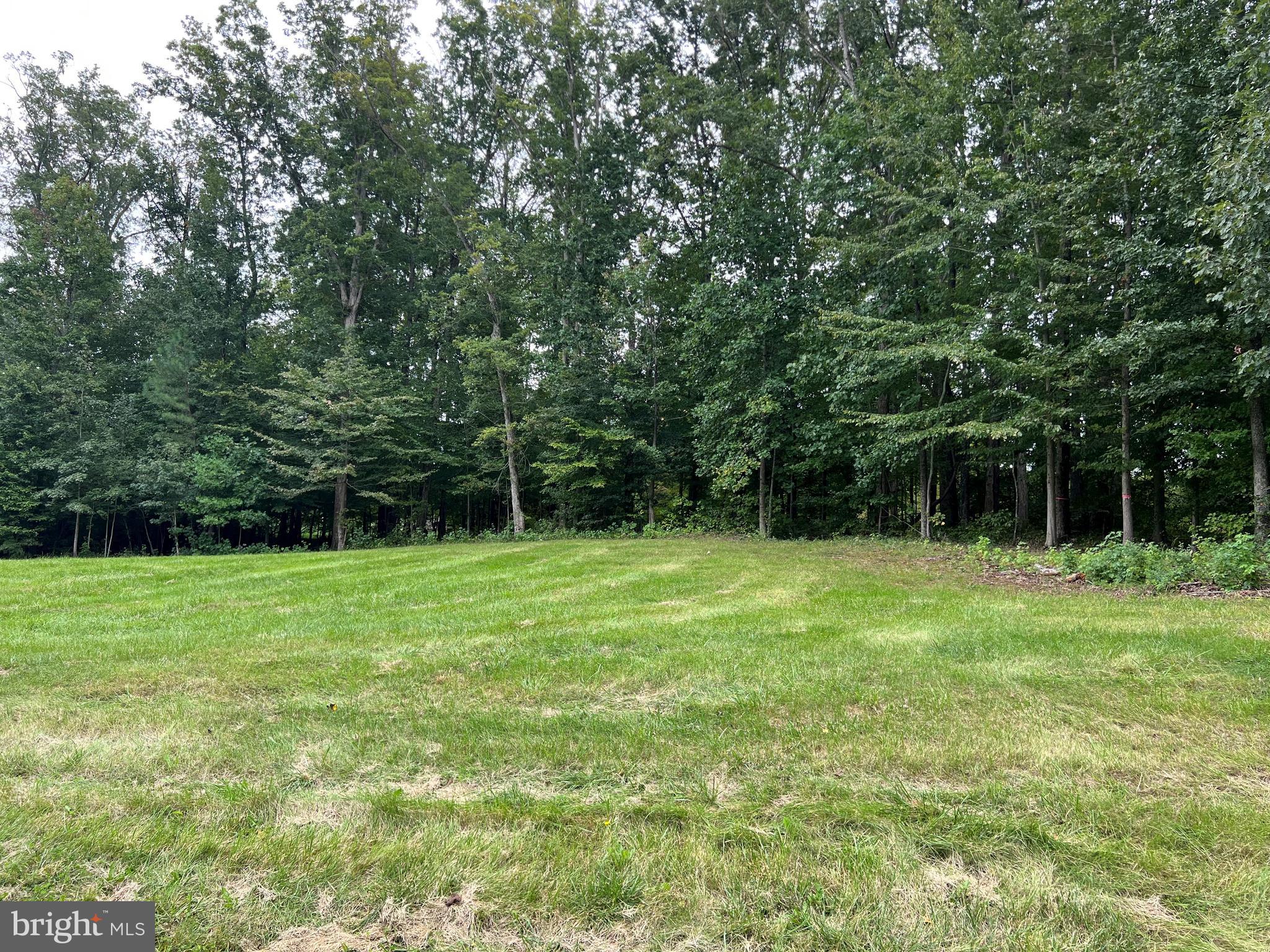 175 Rainbow Ridge Bumpass, VA 23024 - Photo 3 of 18