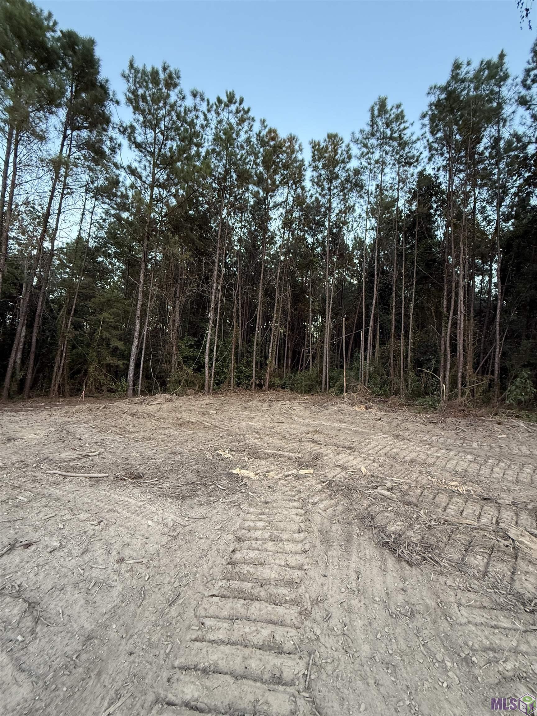 17273 Jack Allen Road Livingston, LA 70754 - Photo 3 of 9 Gallery Image 3