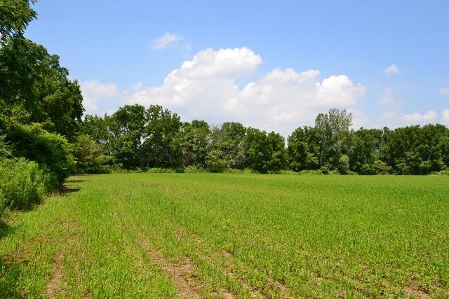 A Reussner Road Southwest Pataskala, OH 43062 - Photo 1 of 4