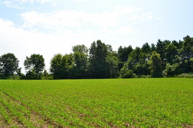 A Reussner Road Southwest Pataskala, OH 43062 - Photo 2 of 4