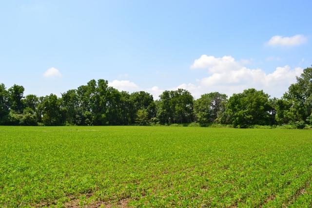 A Reussner Road Southwest Pataskala, OH 43062 - Photo 3 of 4