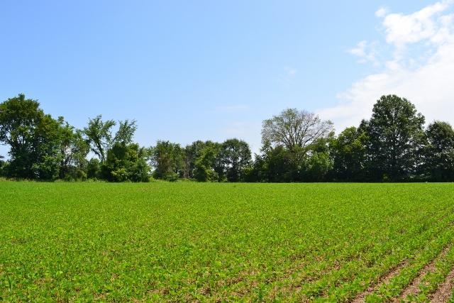 A Reussner Road Southwest Pataskala, OH 43062 - Photo 4 of 4