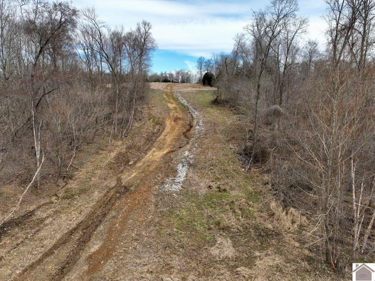 0 Waid Road Benton, KY 42025 - Photo 28 of 35 Photo 28